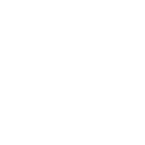 FROJ-logo-RGB-vit.png